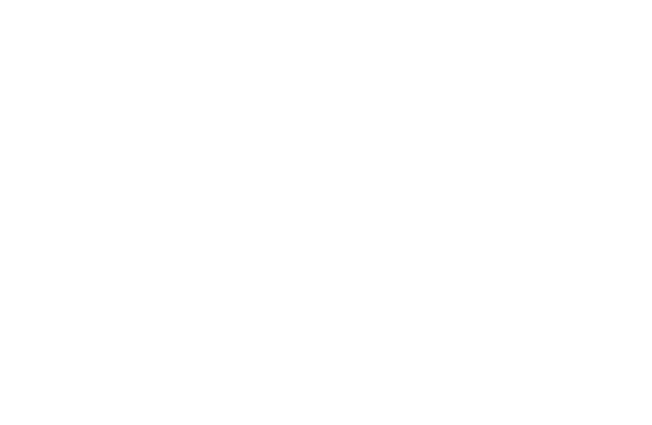 Vorkara logo